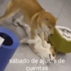 sábado de ajuste de cuentas