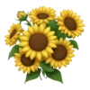 Emoji iPhone Yellow 11