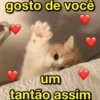 gosto de você Num tantão assim