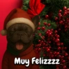 Navidad Bulldog templates🐾🎄✨ 14