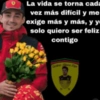 Stickers flores amarillas f1🌼🏎️ 15