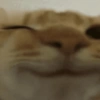 📌🌈🐈✨️Gatos Funny Mood✨️🐈‍⬛🌈 6