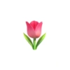 Stiker emoji iphone 12