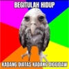 Meme kehidupan 5