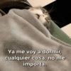 Ya me voy a dormir, cualquier cosa, no me importa.