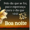 Boa noite  13