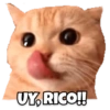 UY, RICO!!