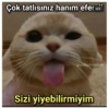 Çok tatlısınız hanım efer 2/2 fatihdemir gumbalmodum Sizi yiyebilirmiyim