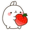 －  〭  ౨ৎ Fresas 24