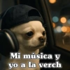 Mi música y yo a la verch