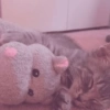 🧿Animalitos cute para chat 2 13