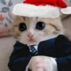 Gatitos cura Depresión🎄 8