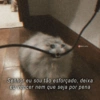 Frases variadas  29