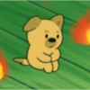 Doogy 17
