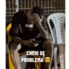 BOSS CHEIO DE PROBLEMA