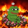 Pepe the frog 22