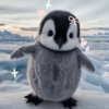 Bichinhos Fofos Cute 💕 22