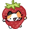 Gatito fresa 🍓🍓 5