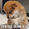PEN GUE GEDIK AJG