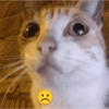 (()):