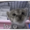 lov u