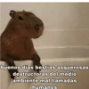 buenos días bestias asquerosas
destructoras del medio
ambiente mal llamadas
humanos