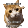 Pikaçu sarıgöt 16