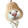Kucing icon meme 14
