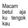 Kata Kata Anomali Medan 15