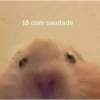 tô com saudade