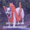 atorado pero nunca derrotado