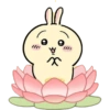 Usagi  10