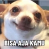BISA AJA KAMU