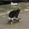Bye