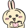 Usagi  29