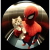 Homem aranha 24