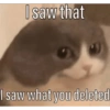 I saw that I saw what you deleted