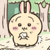 Usagi  20