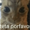 Memes. | @ocenferios  Haki. 9
