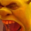 Shrek 💚 6