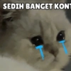 SEDIH BANGET KONT