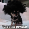 força na peruca