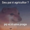 Seu pai é agricultor ? pq vc é uma praga