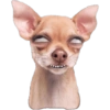 Memes  18