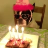 FELIZ ANIVERSÁRIO 🥳 14