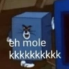 eh mole
kkkkkkkkkk