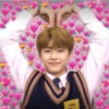 Kpop memes 10