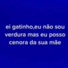 ei gatinho,eu não sou
verdura mas eu posso
cenora da sua mãe