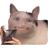Memes  14