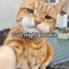 Gud night pookie @theguy.thtsgood